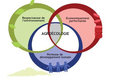 agroeco_schema.jpg