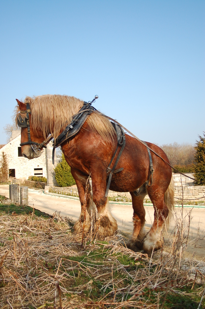 DSC_0775.JPG