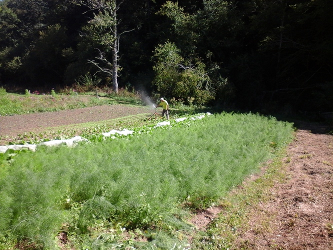 20150920_145238.jpg