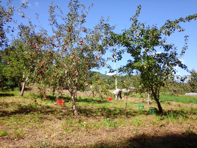 20150920_145324.jpg