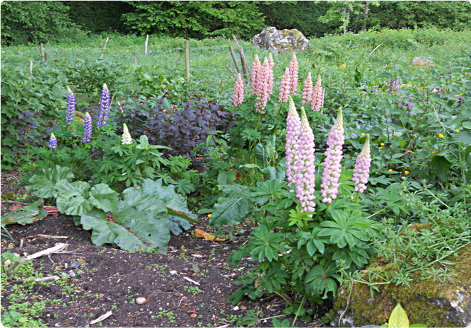 DSCN0199.JPG
