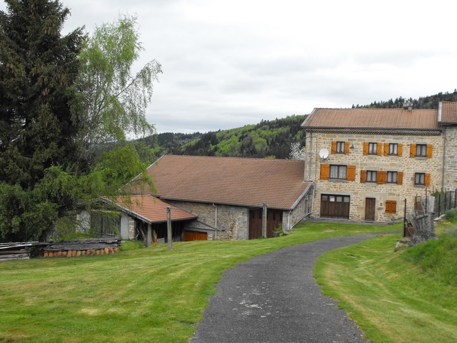 DSCF2053.JPG
