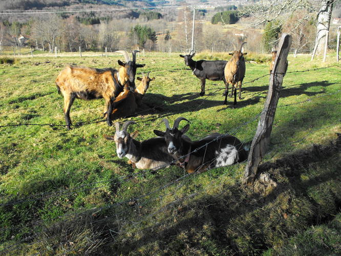 DSCF3126.JPG