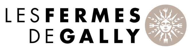 gally_logo_mère_HD.jpg