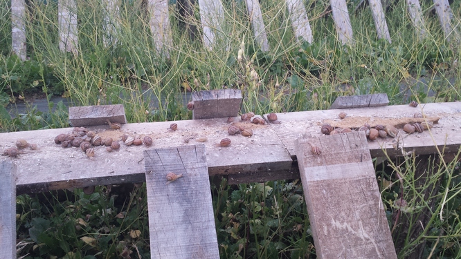 20150728_195116.jpg