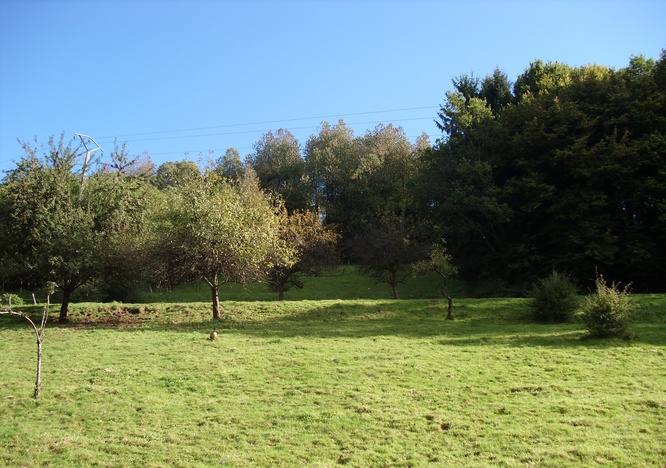 DSCI2246.jpg