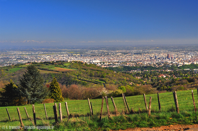 Lyon_vu_depuis_Mont-Thou.jpg