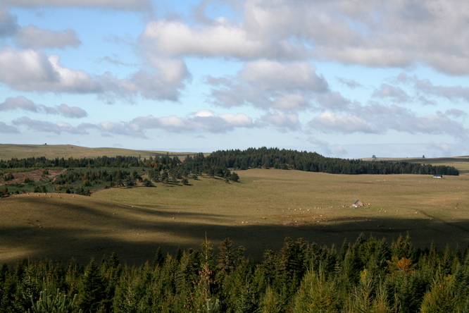 brame_188.jpg