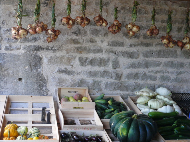 courges_chevaux.JPG