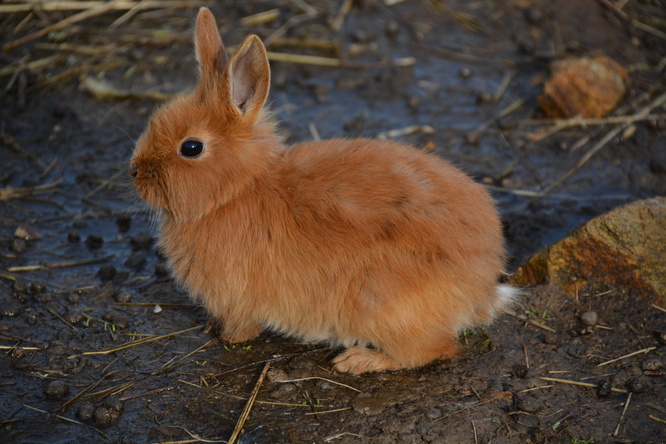 DSC_6261.JPG