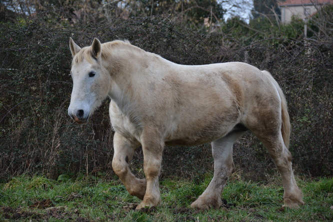 DSC_6395.JPG