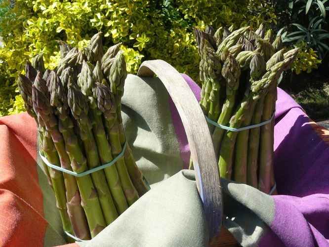 Asperges.jpg