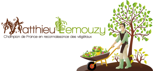 logo-mlemouzy-transparent-small.jpg