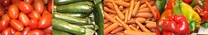 Legumes_de_bases.png