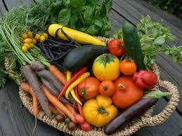 légumes_anciens.jpg