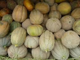 Melons_anciens.jpg