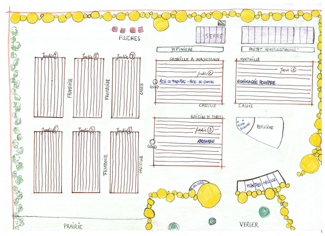 plan_jardin.png