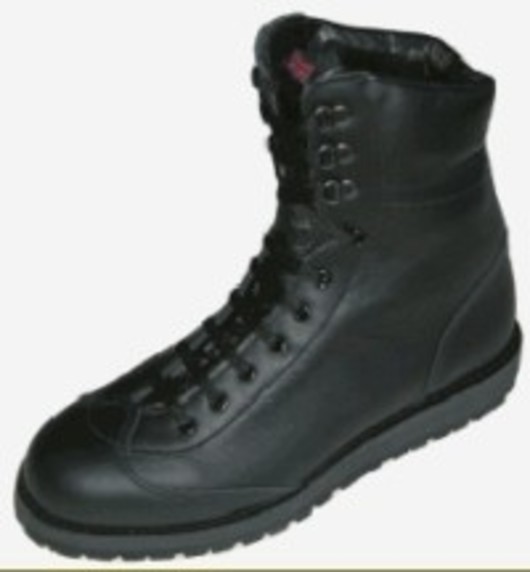 Rig Police Boots