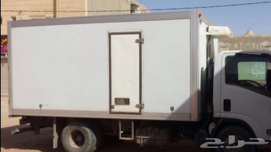 دينا تجميد من الرياض الى الشرقية