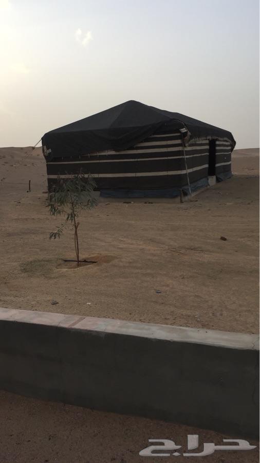 مشروع زراعي للبيع صح شرعي حر