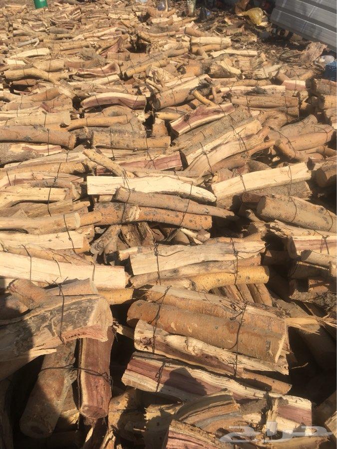 حطب سمر شلايخ وحزم في الرياض