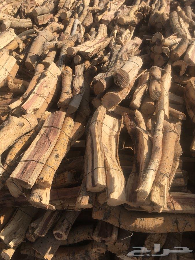 حطب سمر شلايخ وحزم في الرياض
