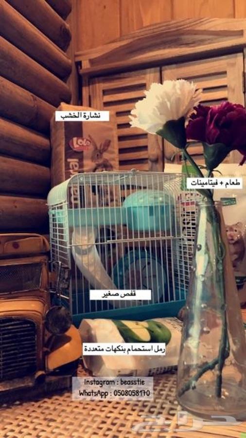 هامسترات Beasstie