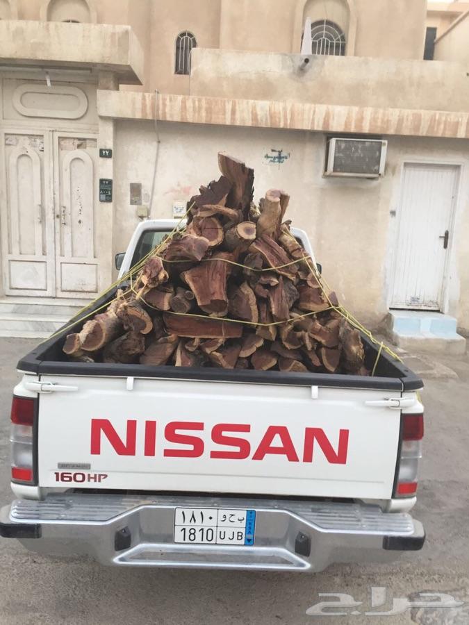 حطب سمر شلايخ صافي