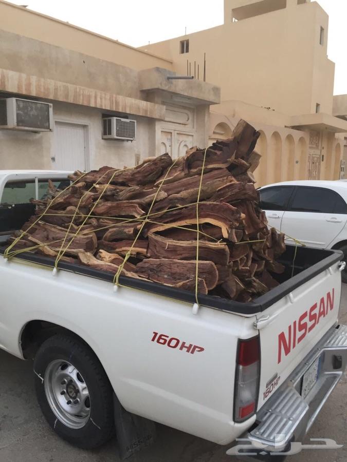 حطب سمر شلايخ صافي