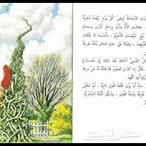 الأخطبوط ابو ذرعان عنكبوت خياط شبوك ومضلات