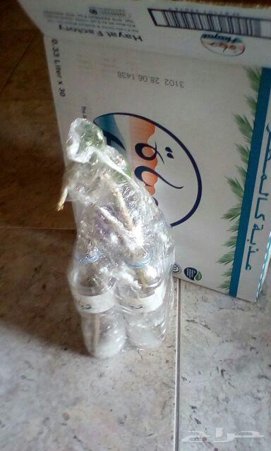 الأخطبوط ابو ذرعان عنكبوت خياط شبوك ومضلات