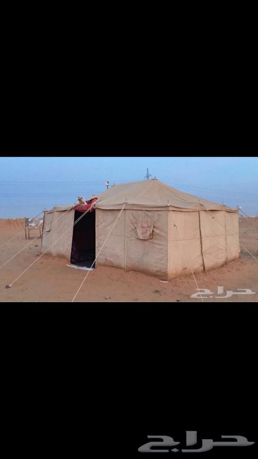 مخيم للبيع كامل قسمين