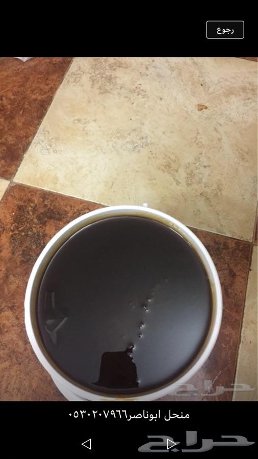 عسل عسل عسل عسل عسل عسل عسل عسل عسل