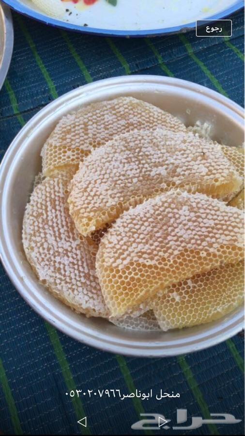 عسل عسل عسل عسل عسل عسل عسل عسل عسل