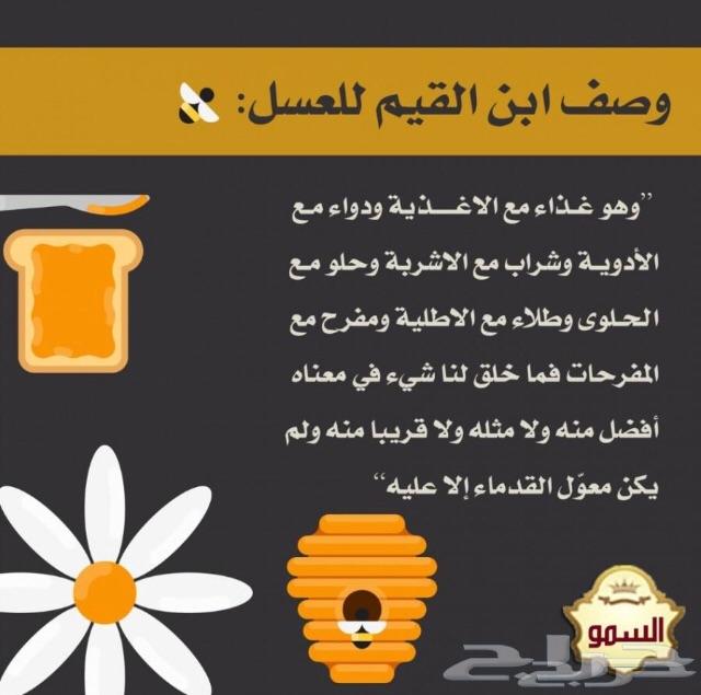 إن كنت تبحث عن عسل سدر مضمون وعلى الشرط