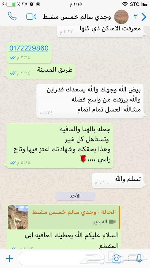 عسل سدر جبلي مضمون على الذمة والامانة