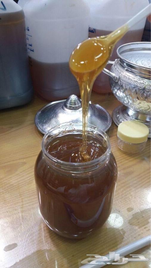 عسل سدر جبلي طبيعي