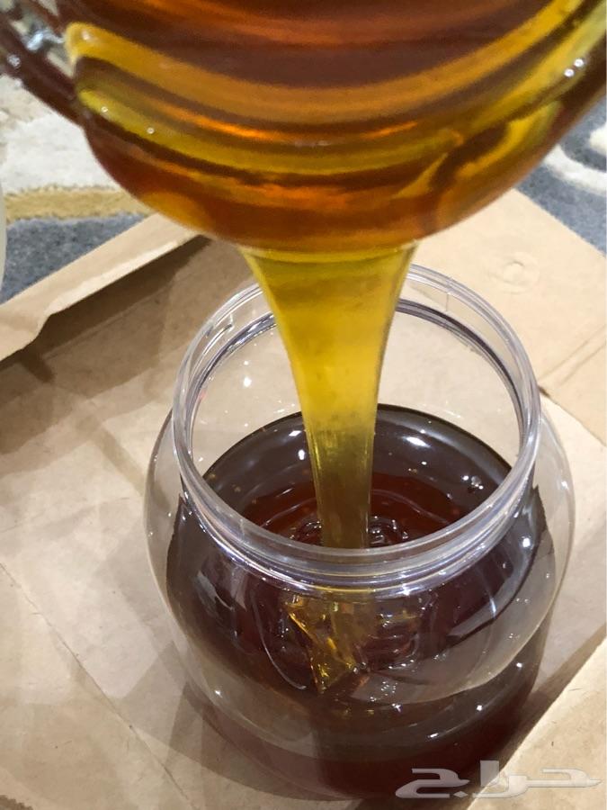 عسل سدر جبلي طبيعي