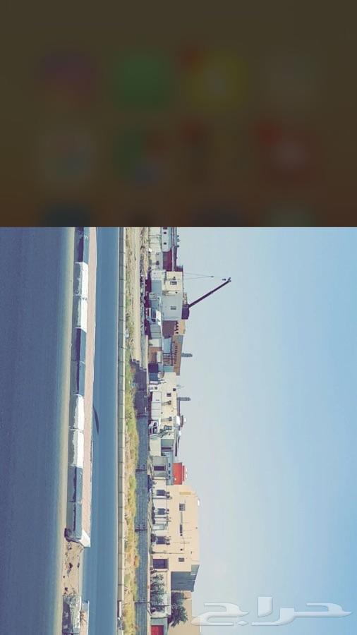 ارض للببع في جازان