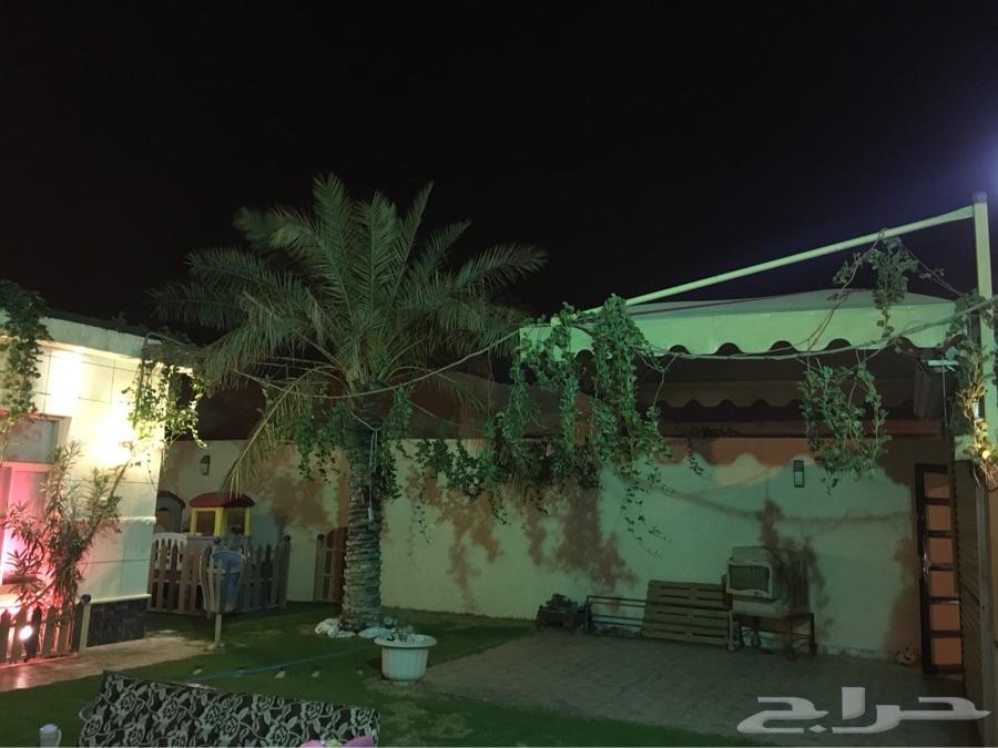 للإيجار شالية