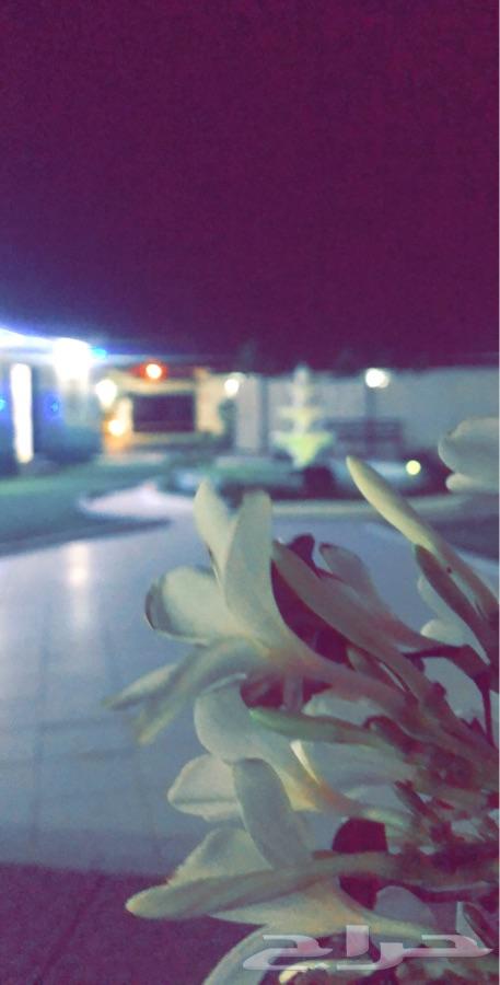 منتجع أروع مساء