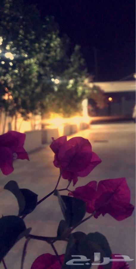 منتجع أروع مساء