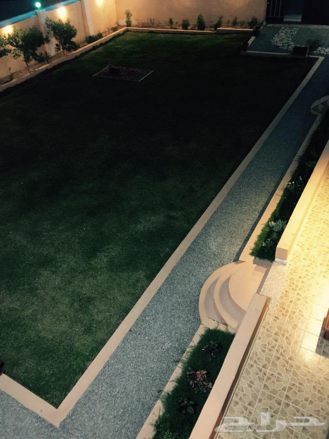استراحة الفارس