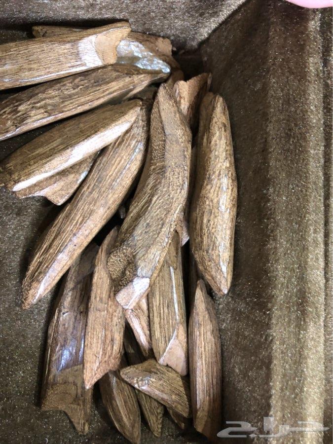 عسل سمره وعسل للمتزوجين بأقل الاسعار شوف