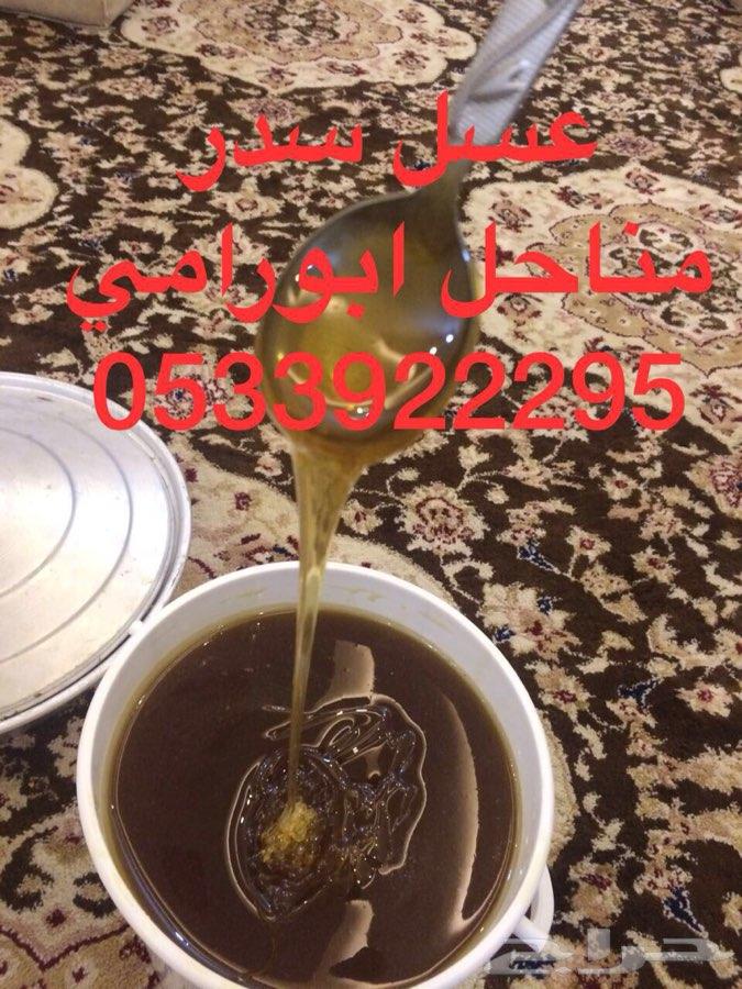 عسل سدر سمر طلح مضمون