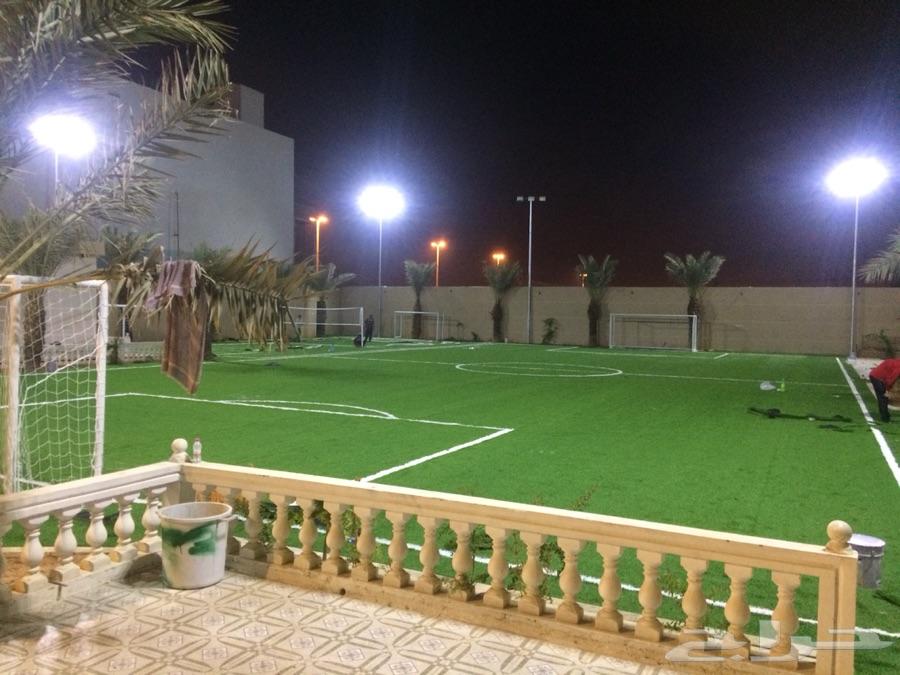 عشب صناعي تخفيضات وتنزيلات كبرى وضمان 5س