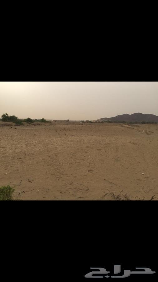 ارض زراعية - مزرعه