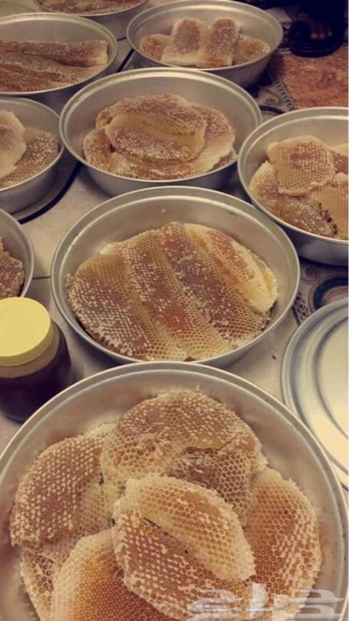 عسل سدر جبلي عسل سمره مضمون
