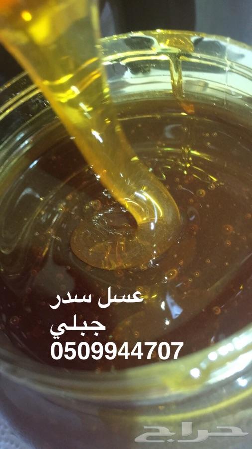 عسل سدر جبلي عسل سمره مضمون