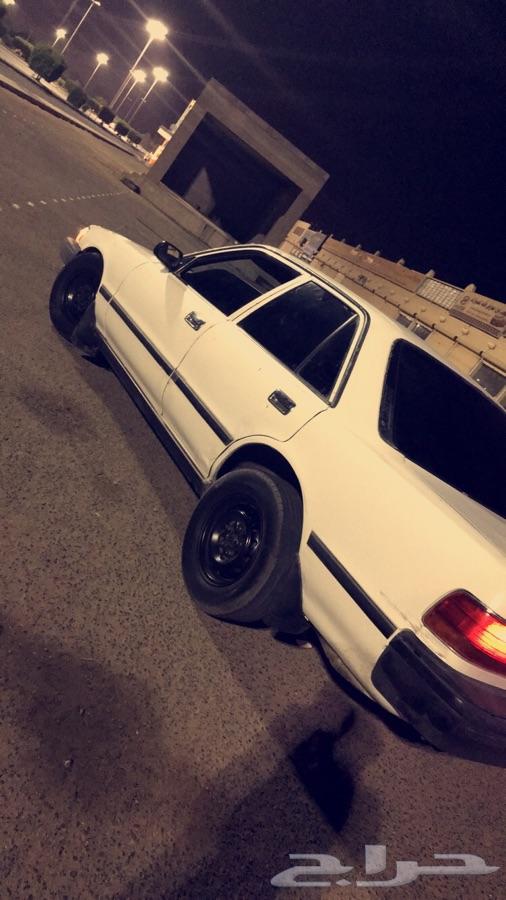 تبوك -
